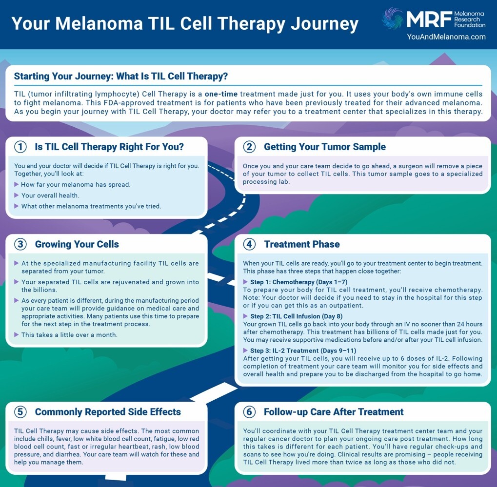 RoadMapTIL_Spotlight2